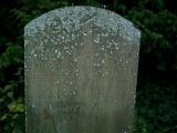 image of grave number 235411